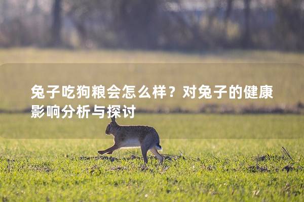 兔子吃狗粮会怎么样？对兔子的健康影响分析与探讨