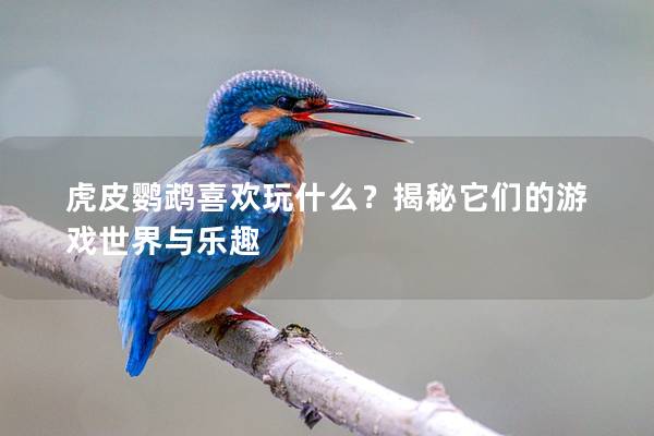 虎皮鹦鹉喜欢玩什么？揭秘它们的游戏世界与乐趣