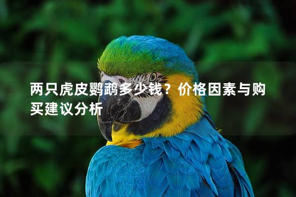 两只虎皮鹦鹉多少钱？价格因素与购买建议分析