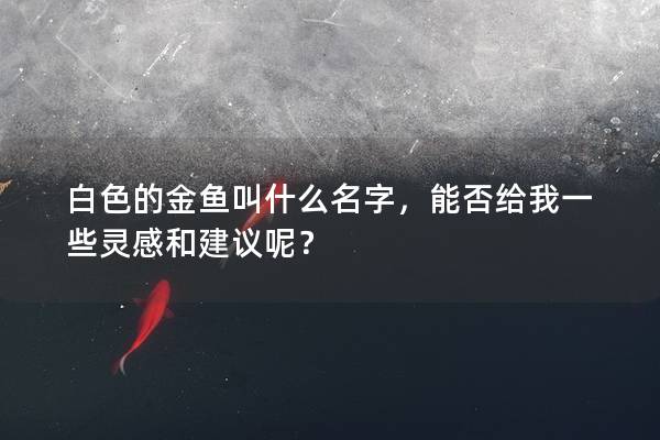 白色的金鱼叫什么名字，能否给我一些灵感和建议呢？