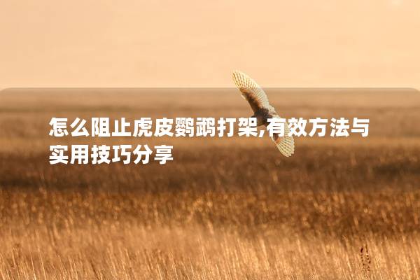 怎么阻止虎皮鹦鹉打架,有效方法与实用技巧分享