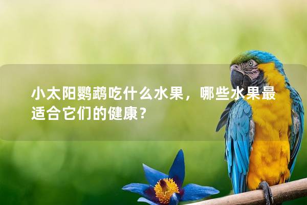 小太阳鹦鹉吃什么水果，哪些水果最适合它们的健康？