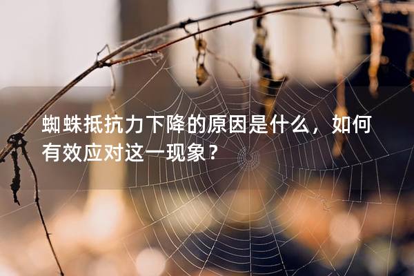 蜘蛛抵抗力下降的原因是什么，如何有效应对这一现象？