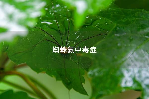 蜘蛛氨中毒症