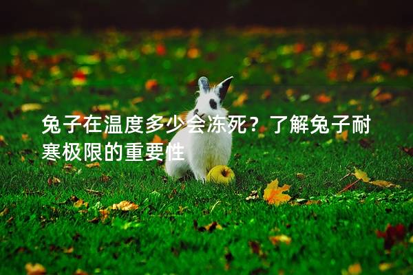 兔子在温度多少会冻死？了解兔子耐寒极限的重要性