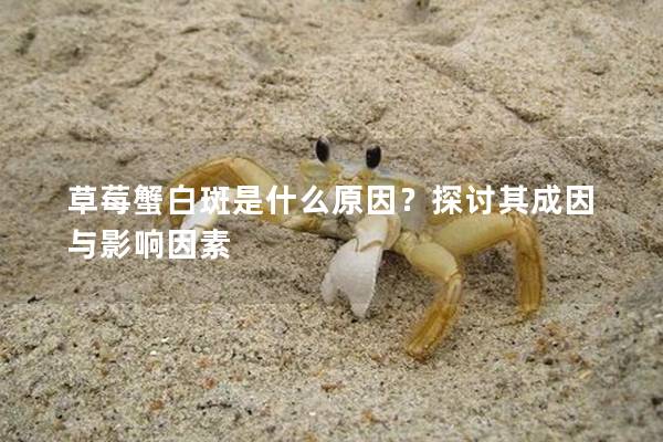 草莓蟹白斑是什么原因？探讨其成因与影响因素