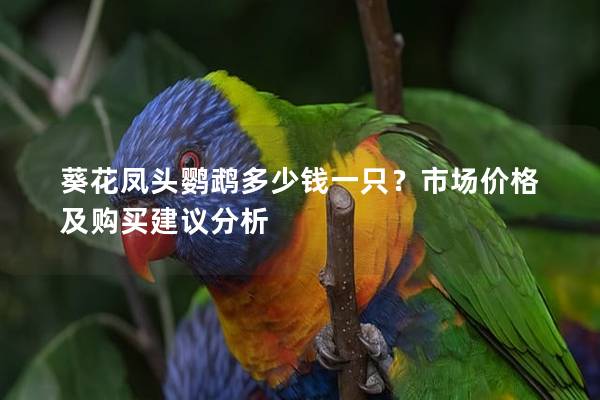 葵花凤头鹦鹉多少钱一只？市场价格及购买建议分析