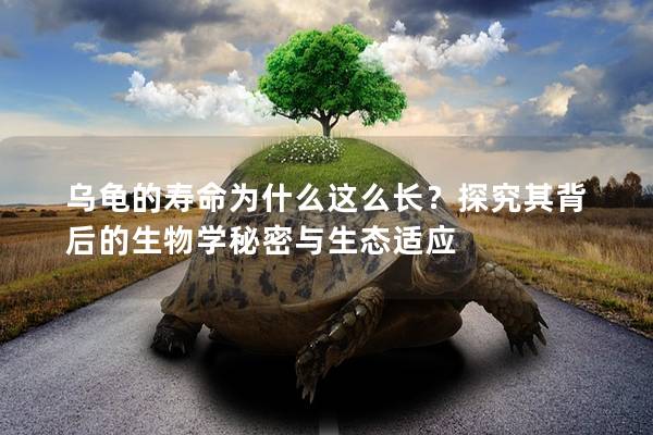 乌龟的寿命为什么这么长？探究其背后的生物学秘密与生态适应