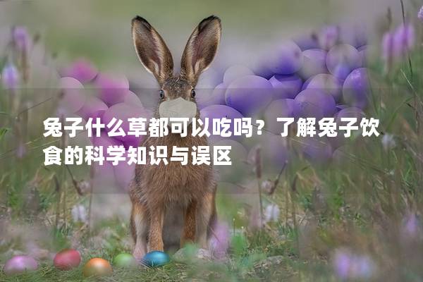 兔子什么草都可以吃吗？了解兔子饮食的科学知识与误区