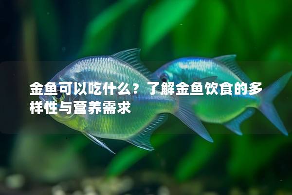 金鱼可以吃什么？了解金鱼饮食的多样性与营养需求