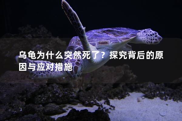 乌龟为什么突然死了？探究背后的原因与应对措施