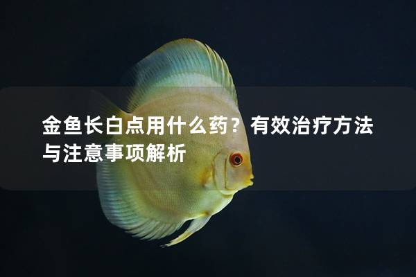 金鱼长白点用什么药？有效治疗方法与注意事项解析