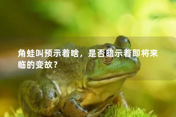 角蛙叫预示着啥，是否暗示着即将来临的变故？