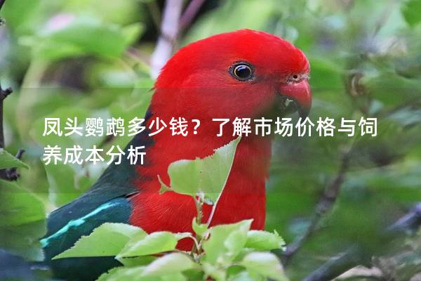 凤头鹦鹉多少钱？了解市场价格与饲养成本分析