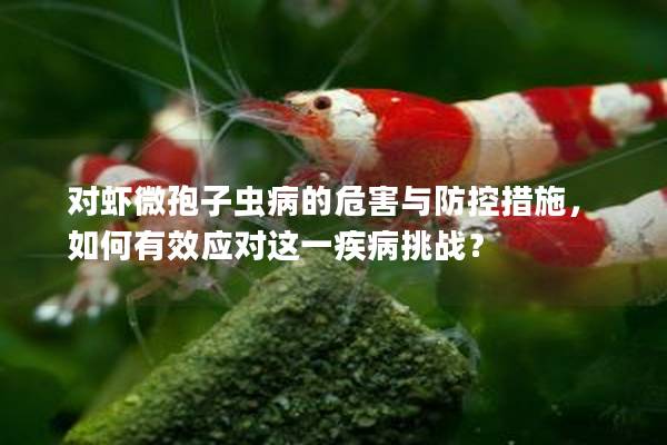 对虾微孢子虫病的危害与防控措施，如何有效应对这一疾病挑战？