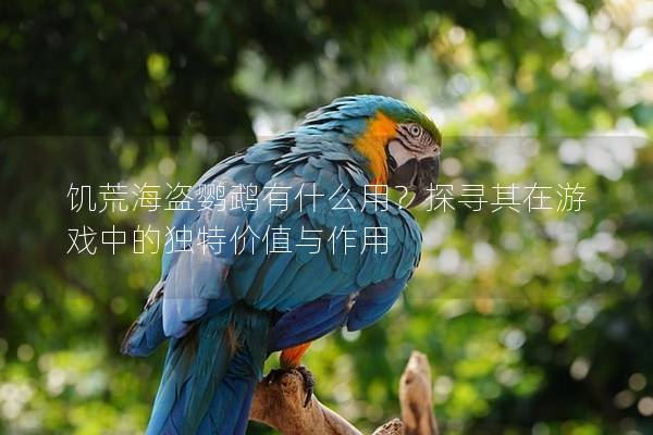 饥荒海盗鹦鹉有什么用？探寻其在游戏中的独特价值与作用