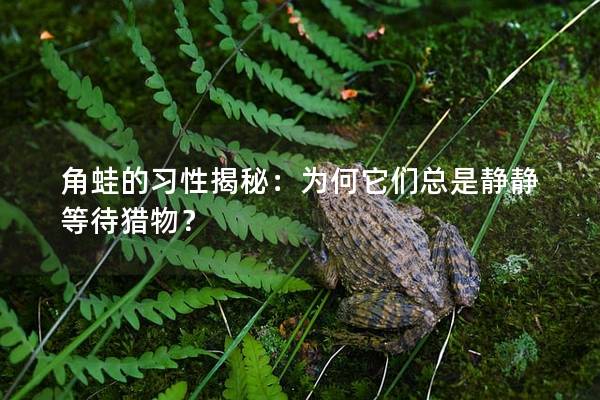 角蛙的习性揭秘：为何它们总是静静等待猎物？