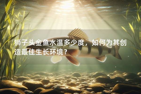 狮子头金鱼水温多少度，如何为其创造最佳生长环境？