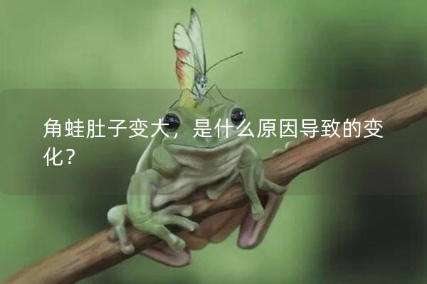 角蛙肚子变大，是什么原因导致的变化？