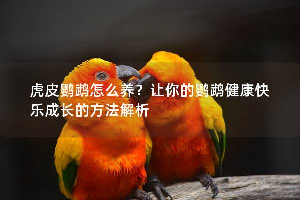 虎皮鹦鹉怎么养？让你的鹦鹉健康快乐成长的方法解析