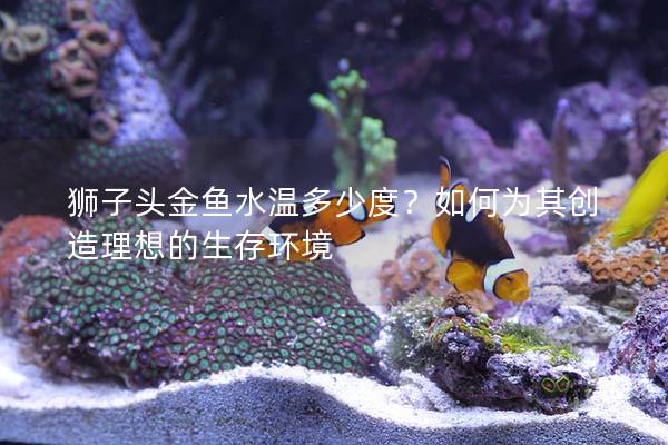 狮子头金鱼水温多少度？如何为其创造理想的生存环境