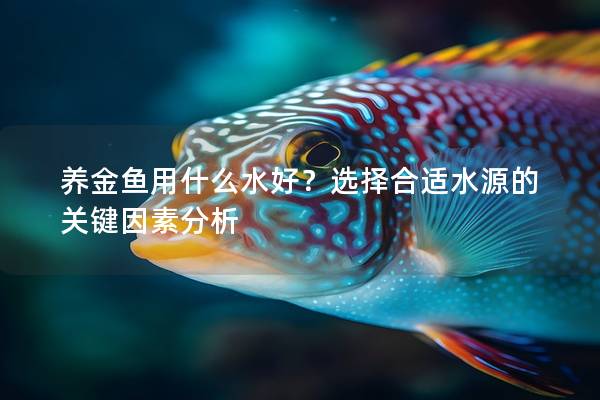 养金鱼用什么水好？选择合适水源的关键因素分析