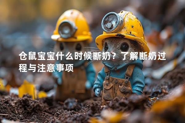 仓鼠宝宝什么时候断奶？了解断奶过程与注意事项