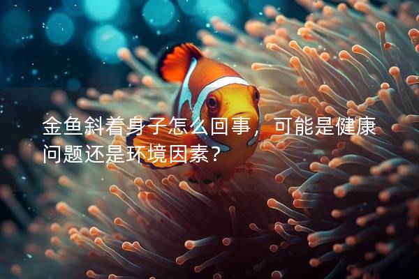 金鱼斜着身子怎么回事，可能是健康问题还是环境因素？