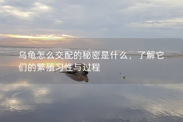 乌龟怎么交配的秘密是什么，了解它们的繁殖习性与过程