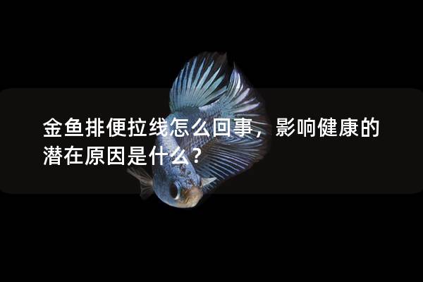 金鱼排便拉线怎么回事，影响健康的潜在原因是什么？