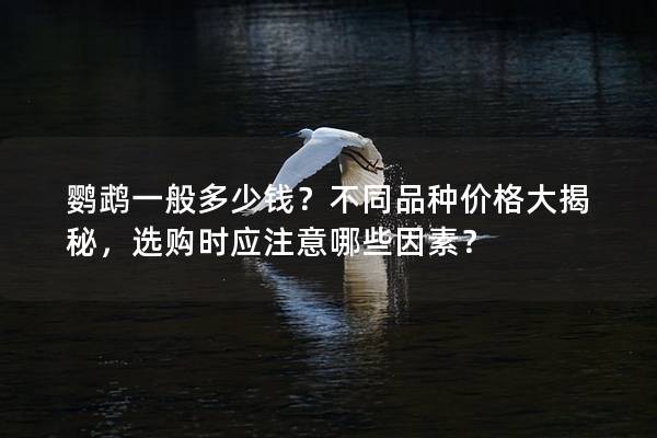 鹦鹉一般多少钱？不同品种价格大揭秘，选购时应注意哪些因素？