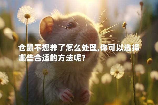 仓鼠不想养了怎么处理,你可以选择哪些合适的方法呢？