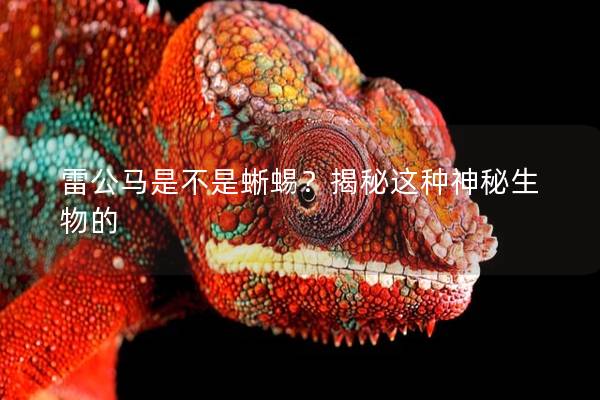 雷公马是不是蜥蜴？揭秘这种神秘生物的