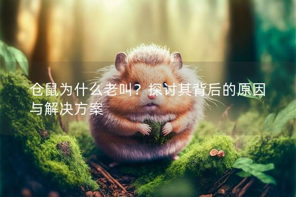 仓鼠为什么老叫？探讨其背后的原因与解决方案