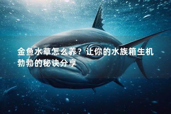 金鱼水草怎么养？让你的水族箱生机勃勃的秘诀分享