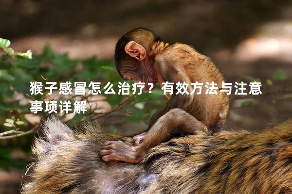 猴子感冒怎么治疗？有效方法与注意事项详解