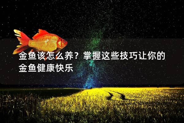 金鱼该怎么养？掌握这些技巧让你的金鱼健康快乐