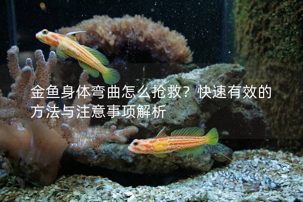 金鱼身体弯曲怎么抢救？快速有效的方法与注意事项解析