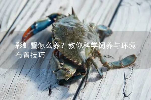 彩虹蟹怎么养？教你科学饲养与环境布置技巧