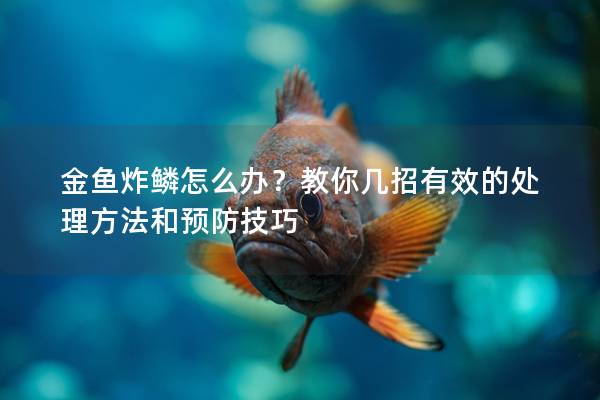 金鱼炸鳞怎么办？教你几招有效的处理方法和预防技巧