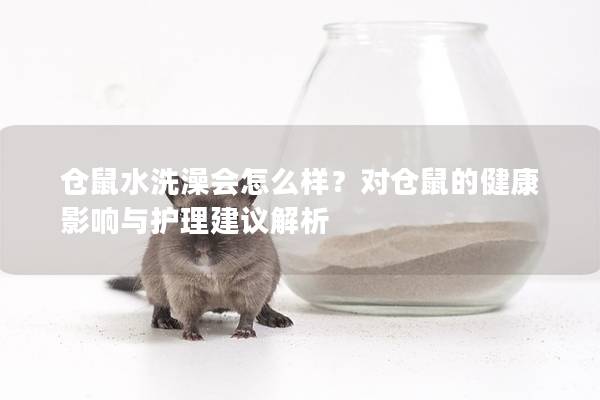 仓鼠水洗澡会怎么样？对仓鼠的健康影响与护理建议解析