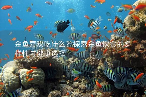 金鱼喜欢吃什么？探索金鱼饮食的多样性与健康选择