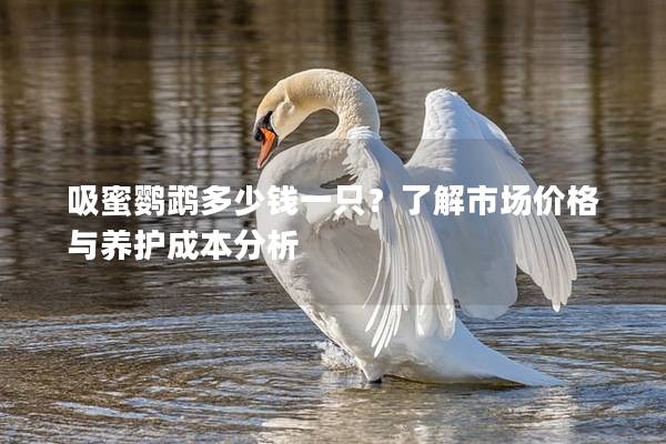 吸蜜鹦鹉多少钱一只？了解市场价格与养护成本分析