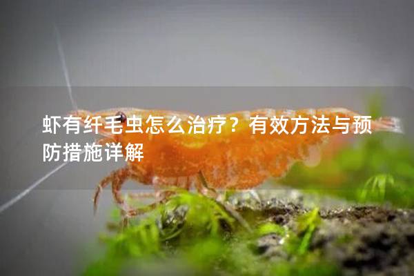 虾有纤毛虫怎么治疗？有效方法与预防措施详解