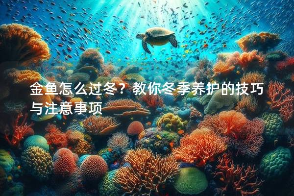 金鱼怎么过冬？教你冬季养护的技巧与注意事项