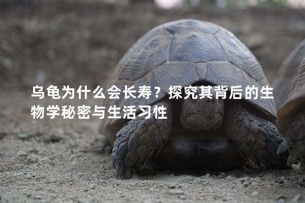 乌龟为什么会长寿？探究其背后的生物学秘密与生活习性