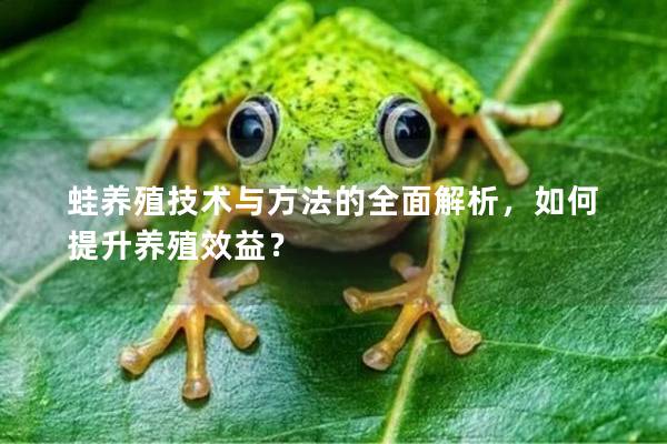 蛙养殖技术与方法的全面解析，如何提升养殖效益？