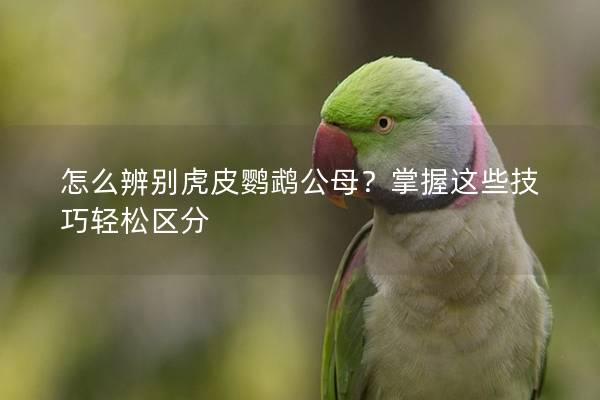 怎么辨别虎皮鹦鹉公母？掌握这些技巧轻松区分