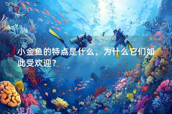 小金鱼的特点是什么，为什么它们如此受欢迎？