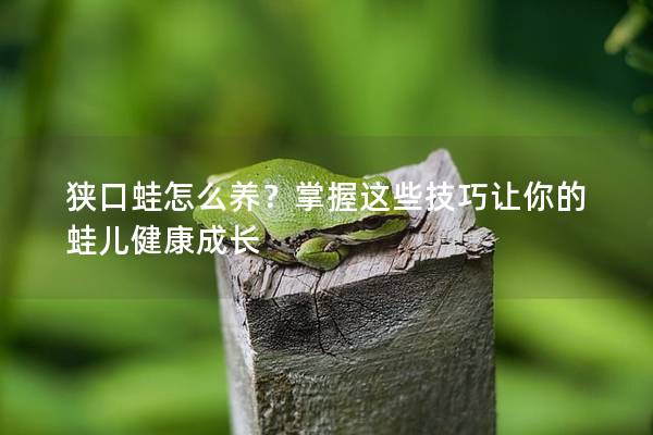 狭口蛙怎么养？掌握这些技巧让你的蛙儿健康成长